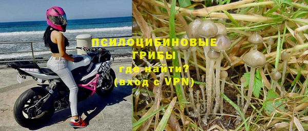 каннабис Баксан