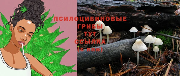 соль ск Балабаново