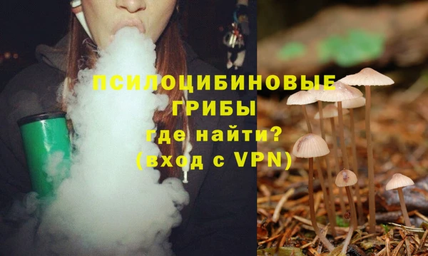 соль ск Балабаново