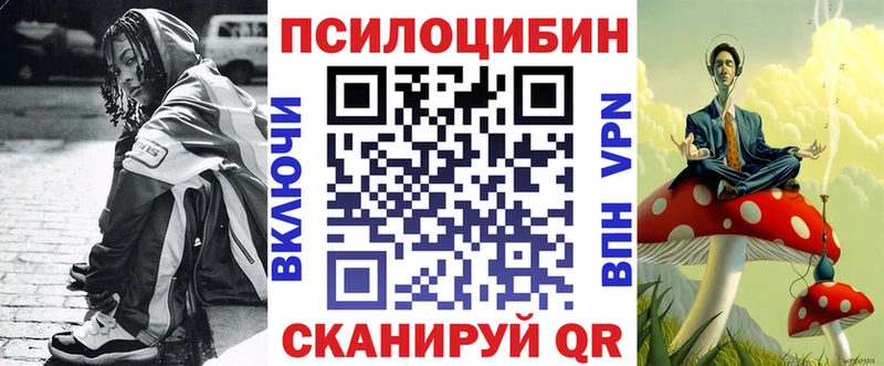 Галлюциногенные грибы Psilocybe даркнет сайт Вязьма
